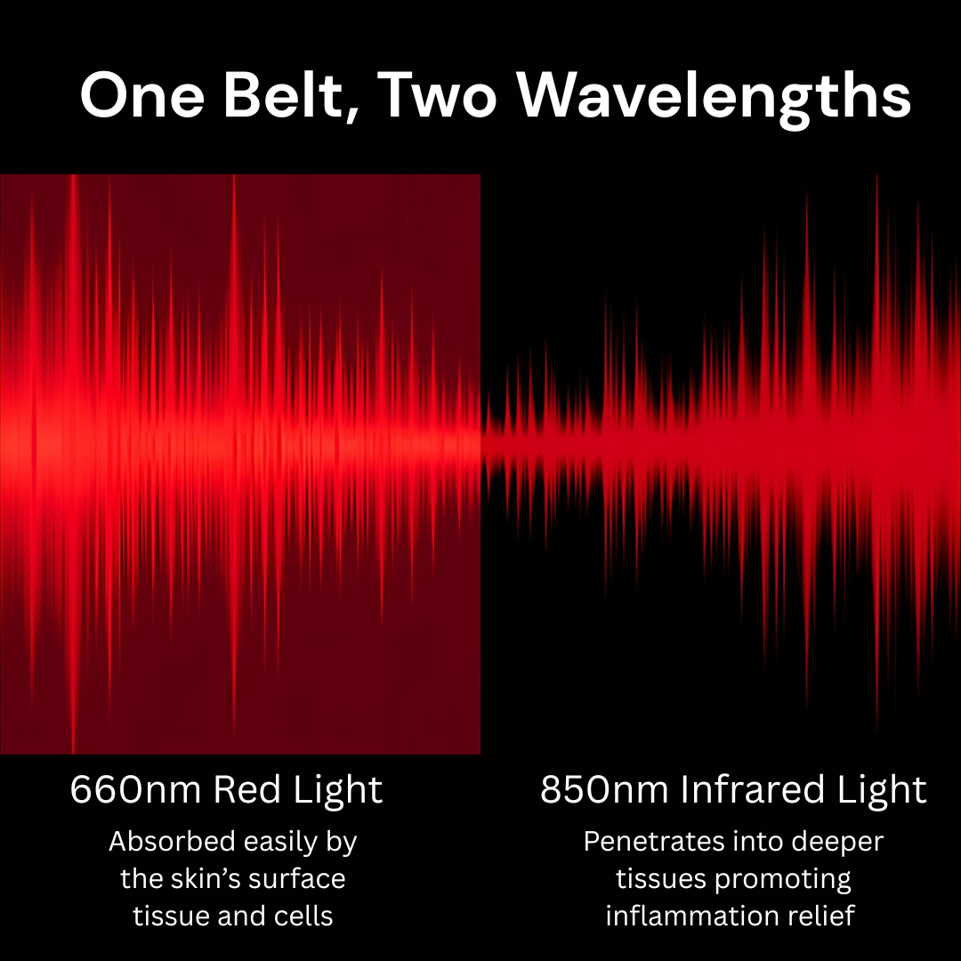 LumaWrap Infrared Light Therapy Belt