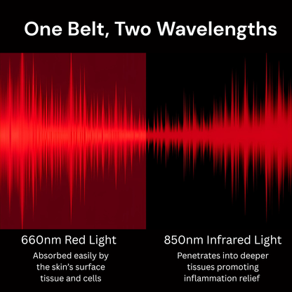 LumaWrap Infrared Light Therapy Belt