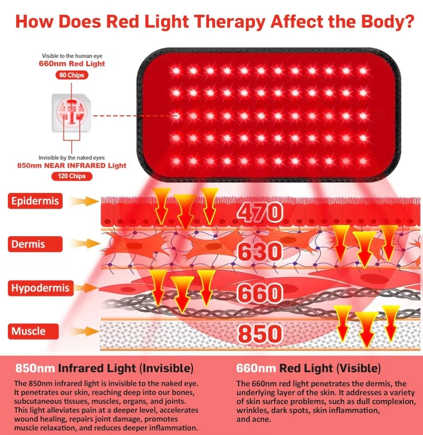 LumaWrap Red + Infrared Light Therapy Belt